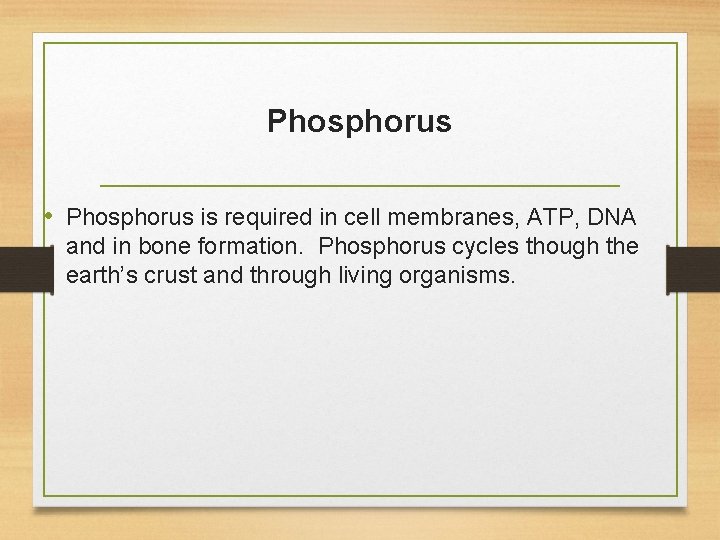 Phosphorus • Phosphorus is required in cell membranes, ATP, DNA and in bone formation.
