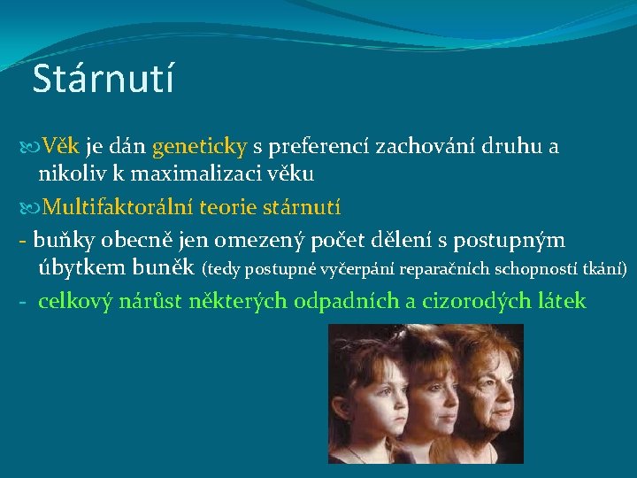 Stárnutí Věk je dán geneticky s preferencí zachování druhu a nikoliv k maximalizaci věku
