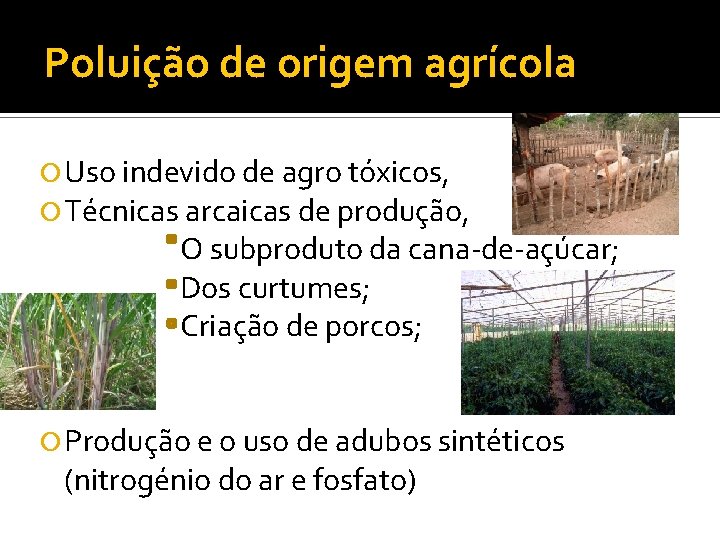 Poluição de origem agrícola Uso indevido de agro tóxicos, Técnicas arcaicas de produção, O
