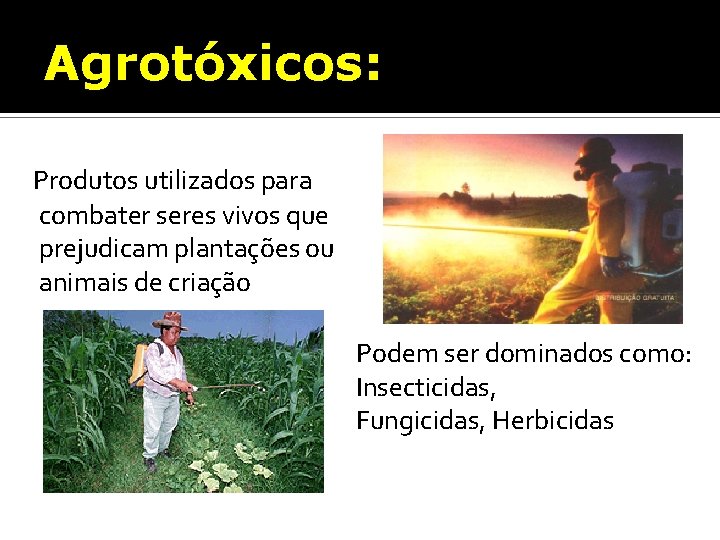Agrotóxicos: Produtos utilizados para combater seres vivos que prejudicam plantações ou animais de criação.