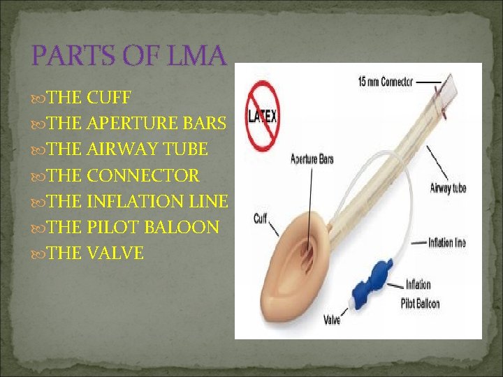 PARTS OF LMA THE CUFF THE APERTURE BARS THE AIRWAY TUBE THE CONNECTOR THE
