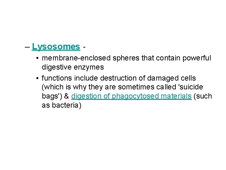 – Lysosomes • membrane-enclosed spheres that contain powerful digestive enzymes • functions include destruction
