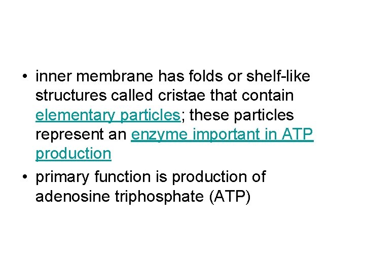  • inner membrane has folds or shelf-like structures called cristae that contain elementary