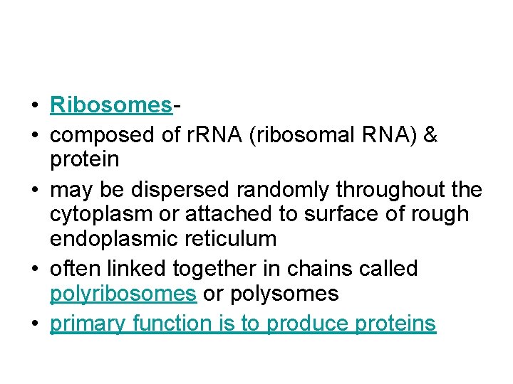  • Ribosomes • composed of r. RNA (ribosomal RNA) & protein • may