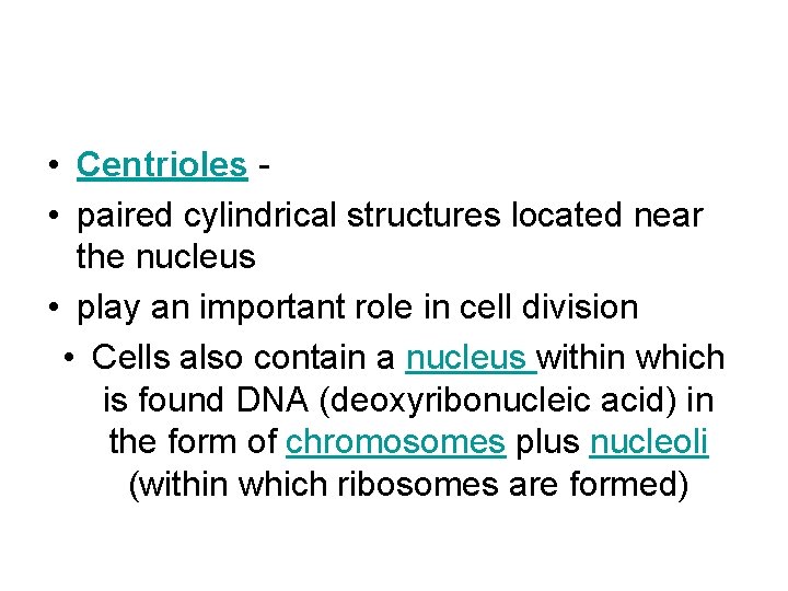  • Centrioles • paired cylindrical structures located near the nucleus • play an