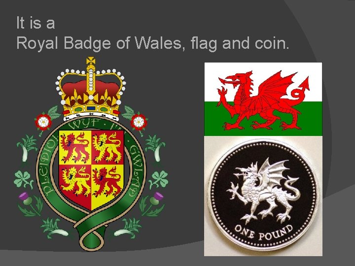 It is a Royal Badge of Wales, flag and coin. 
