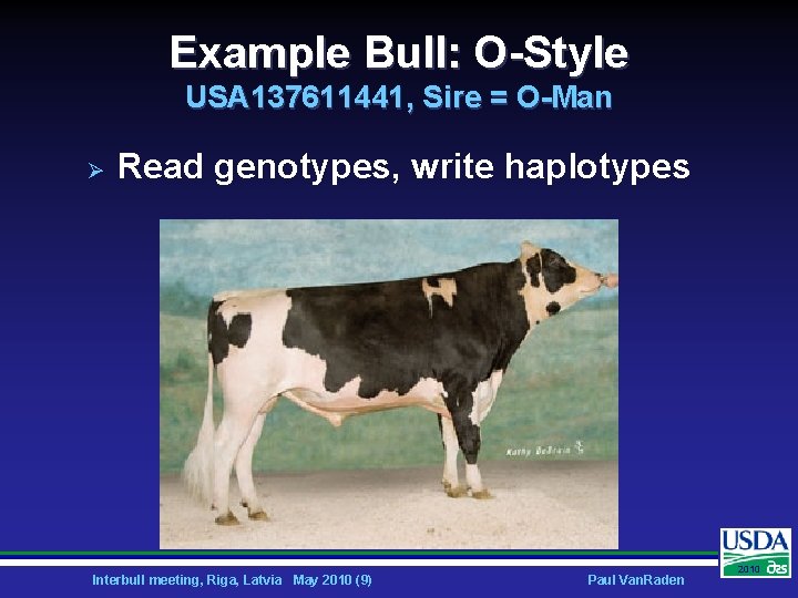 Example Bull: O-Style USA 137611441, Sire = O-Man Ø Read genotypes, write haplotypes Interbull