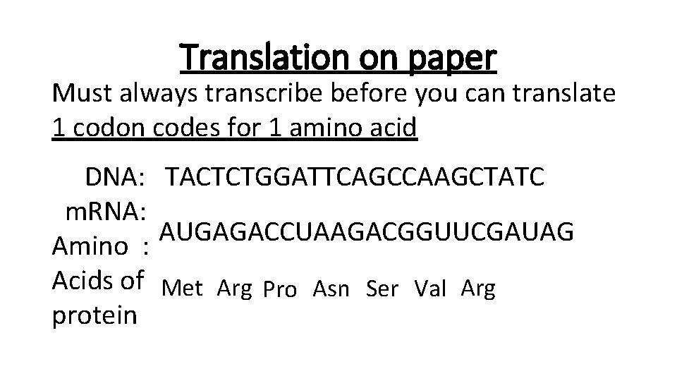 Translation on paper Must always transcribe before you can translate 1 codon codes for