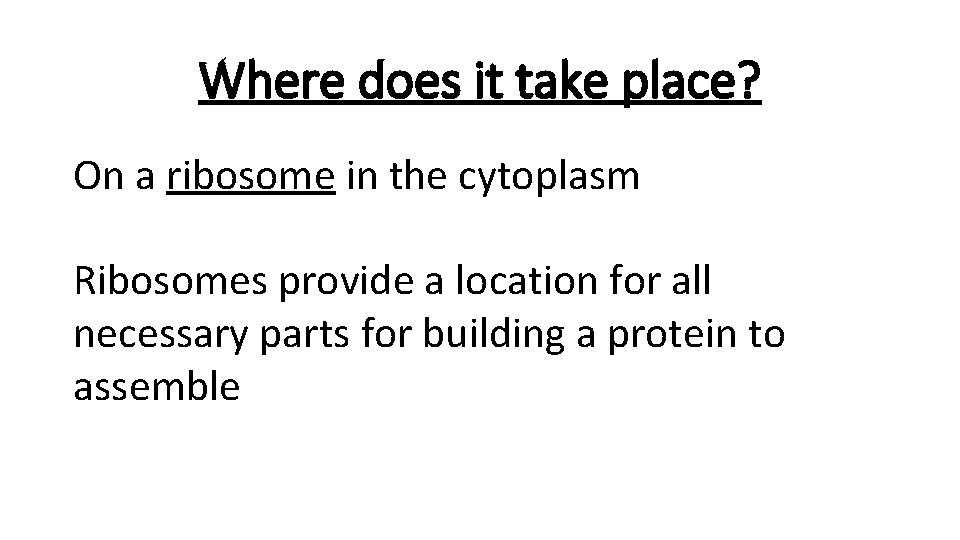 Where does it take place? On a ribosome in the cytoplasm Ribosomes provide a
