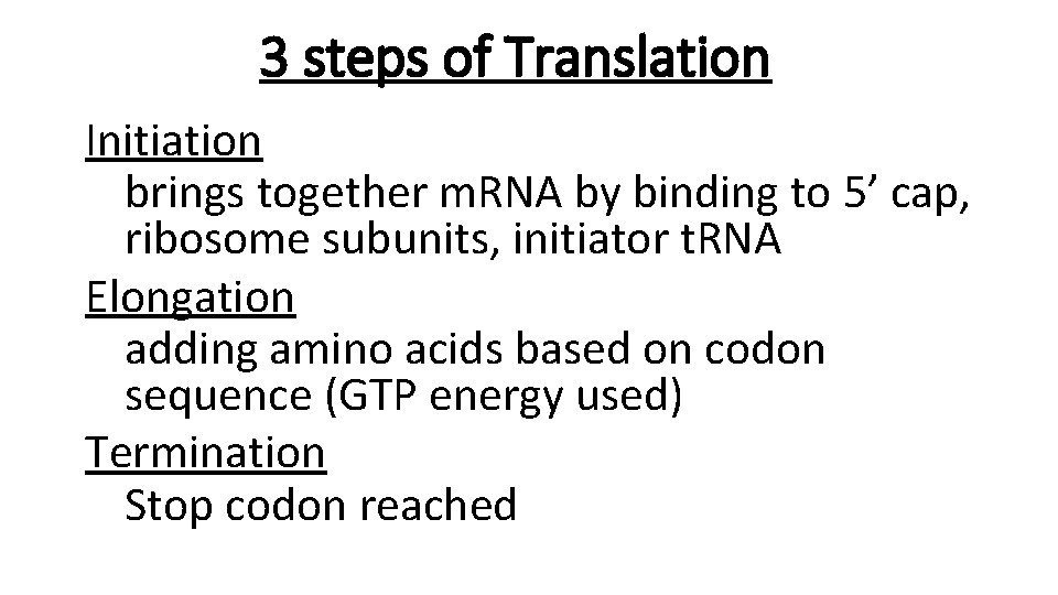 3 steps of Translation Initiation brings together m. RNA by binding to 5’ cap,