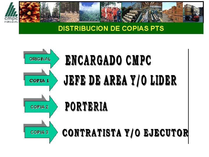 DISTRIBUCION DE COPIAS PTS 