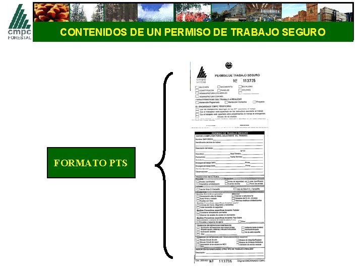 CONTENIDOS DE UN PERMISO DE TRABAJO SEGURO FORMATO PTS 