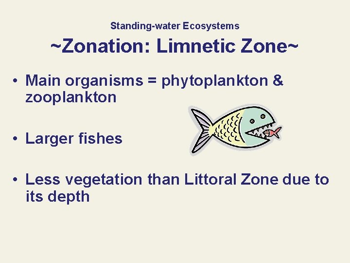 Standing-water Ecosystems ~Zonation: Limnetic Zone~ • Main organisms = phytoplankton & zooplankton • Larger