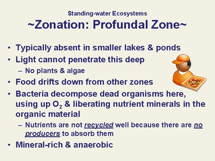 Standing-water Ecosystems ~Zonation: Profundal Zone~ • Typically absent in smaller lakes & ponds •