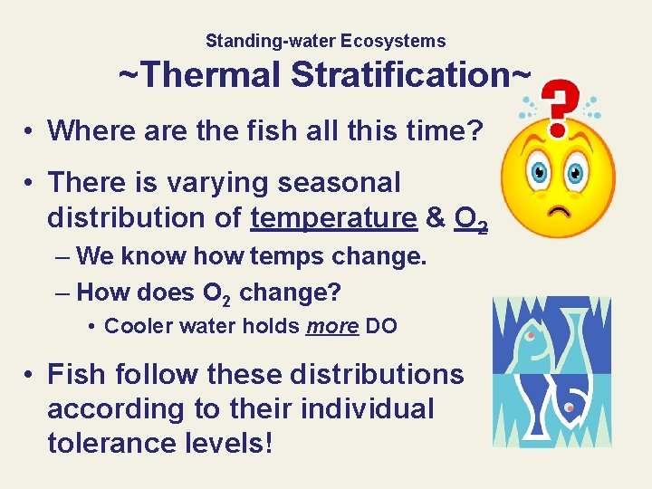 Standing-water Ecosystems ~Thermal Stratification~ • Where are the fish all this time? • There