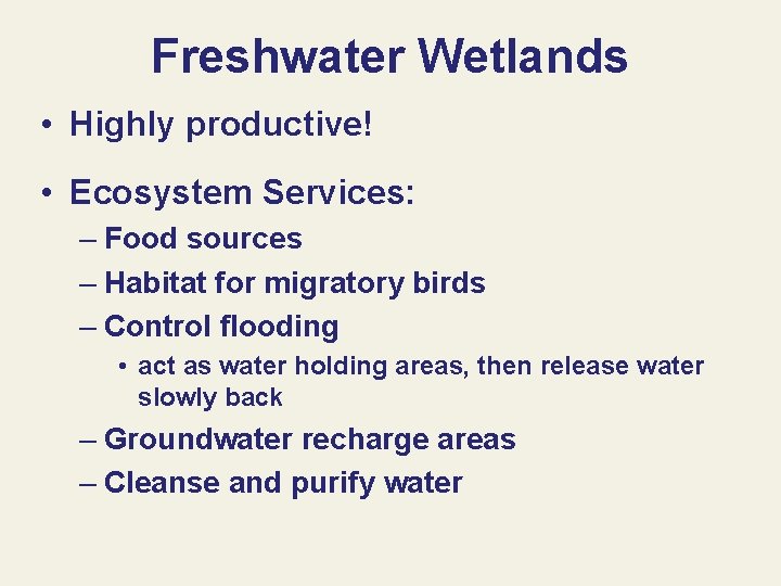 Freshwater Wetlands • Highly productive! • Ecosystem Services: – Food sources – Habitat for