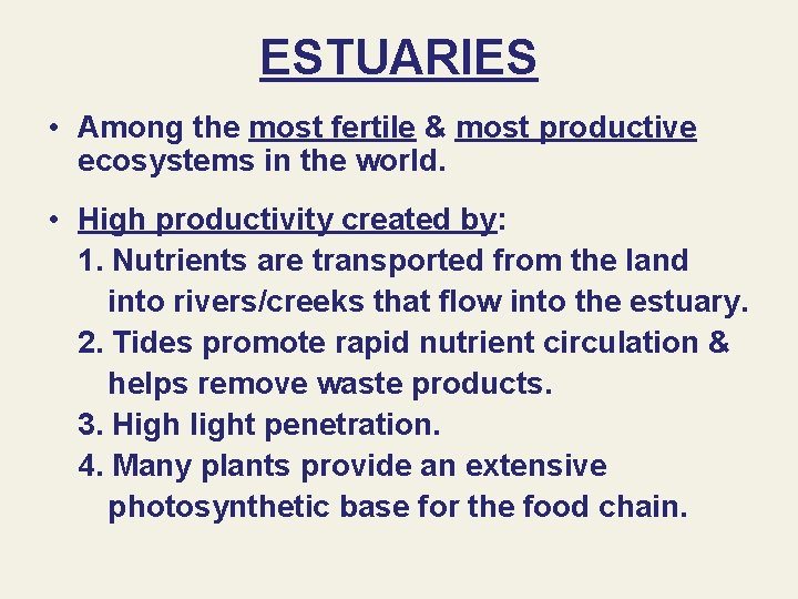 ESTUARIES • Among the most fertile & most productive ecosystems in the world. •