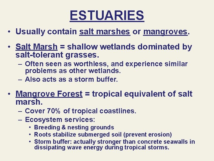 ESTUARIES • Usually contain salt marshes or mangroves. • Salt Marsh = shallow wetlands