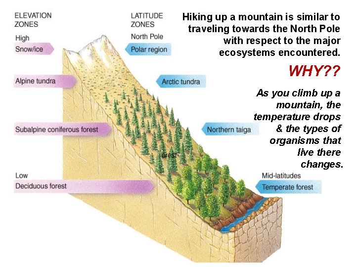 Hiking up a mountain is similar to traveling towards the North Pole with respect