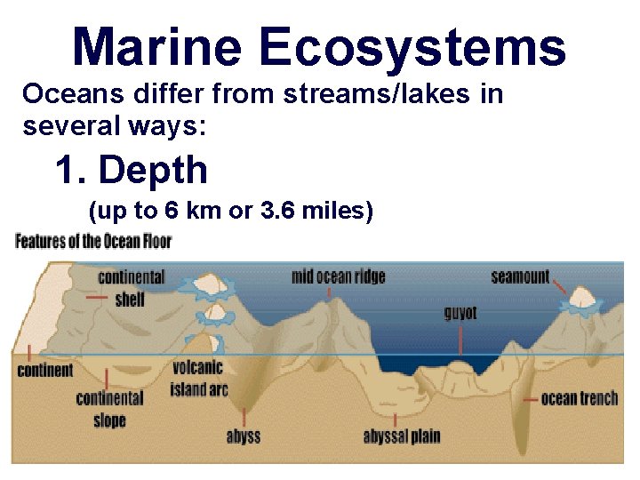Marine Ecosystems Oceans differ from streams/lakes in several ways: 1. Depth (up to 6