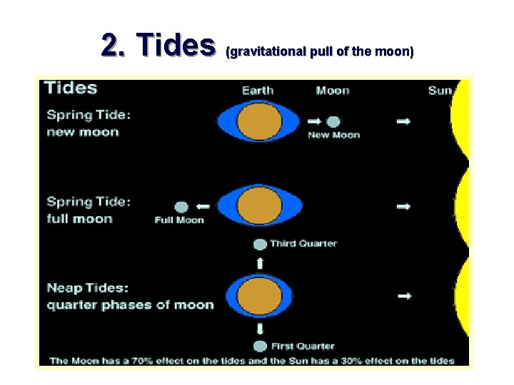 2. Tides (gravitational pull of the moon) 