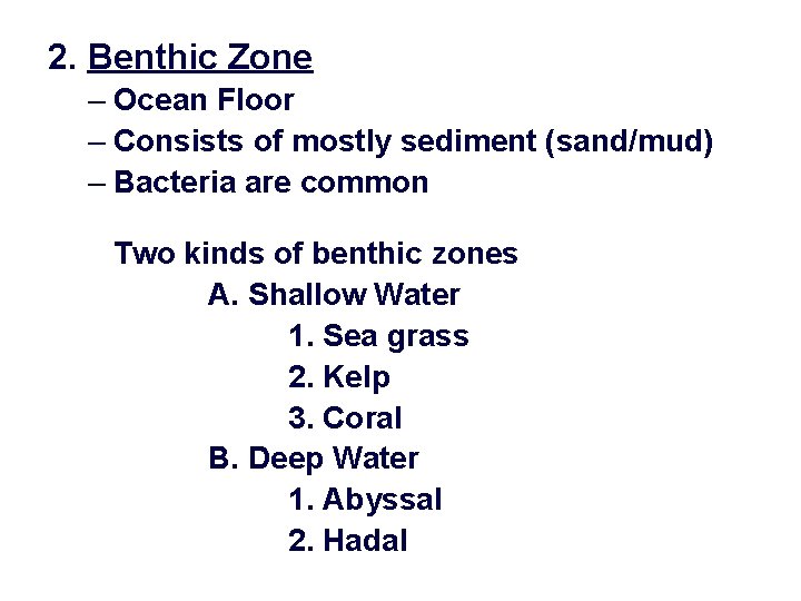 2. Benthic Zone – Ocean Floor – Consists of mostly sediment (sand/mud) – Bacteria