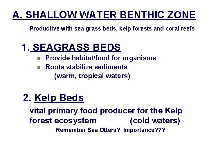 A. SHALLOW WATER BENTHIC ZONE – Productive with sea grass beds, kelp forests and