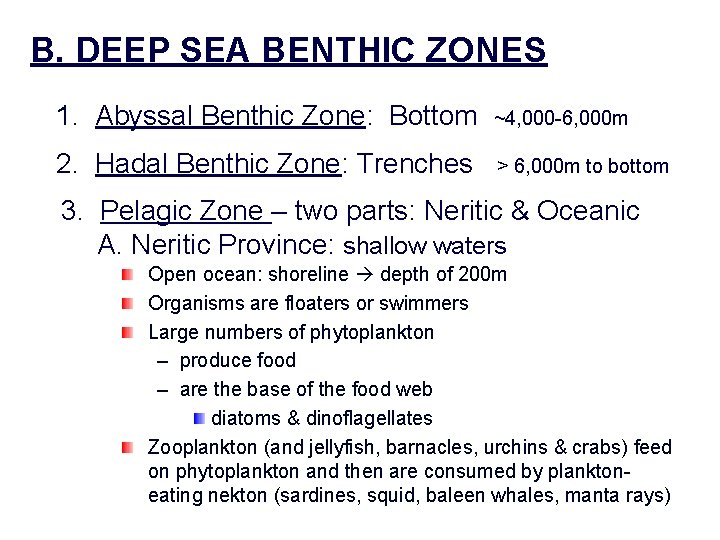 B. DEEP SEA BENTHIC ZONES 1. Abyssal Benthic Zone: Bottom ~4, 000 -6, 000