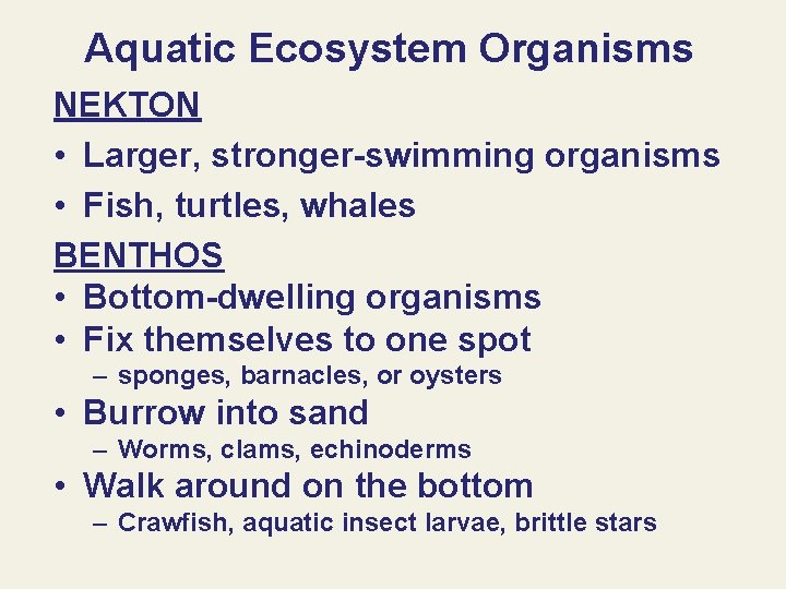 Aquatic Ecosystem Organisms NEKTON • Larger, stronger-swimming organisms • Fish, turtles, whales BENTHOS •