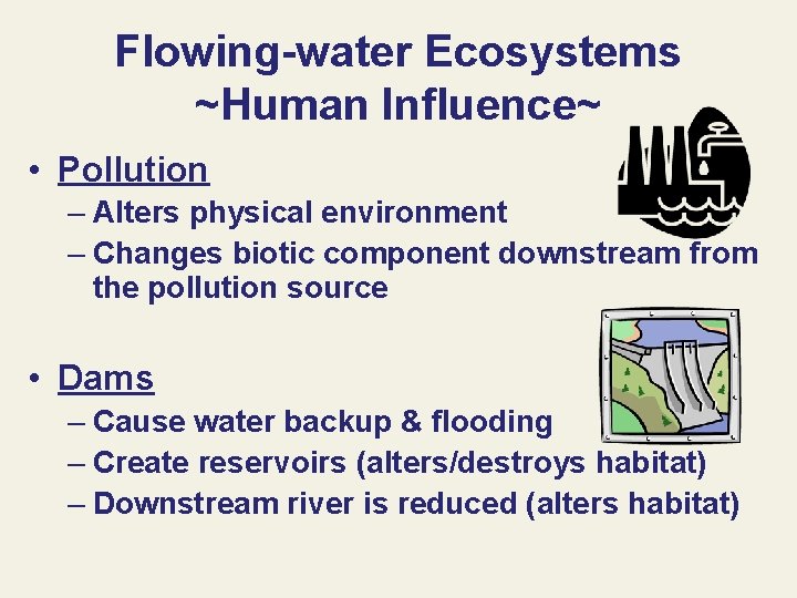 Flowing-water Ecosystems ~Human Influence~ • Pollution – Alters physical environment – Changes biotic component