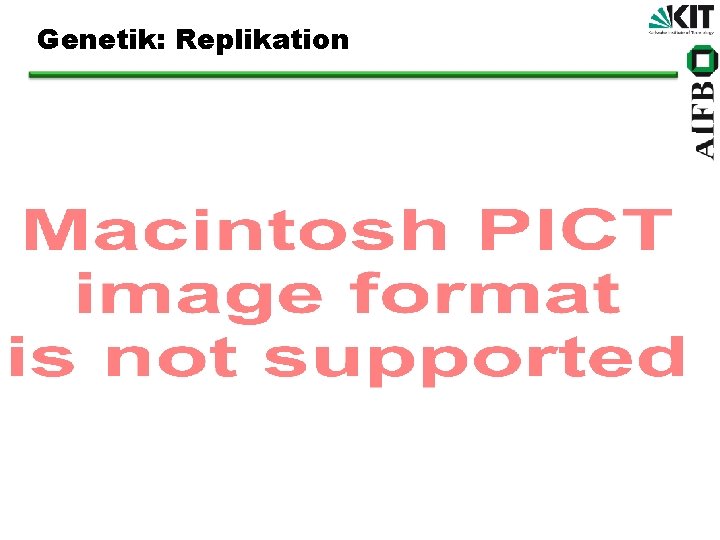 Genetik: Replikation 
