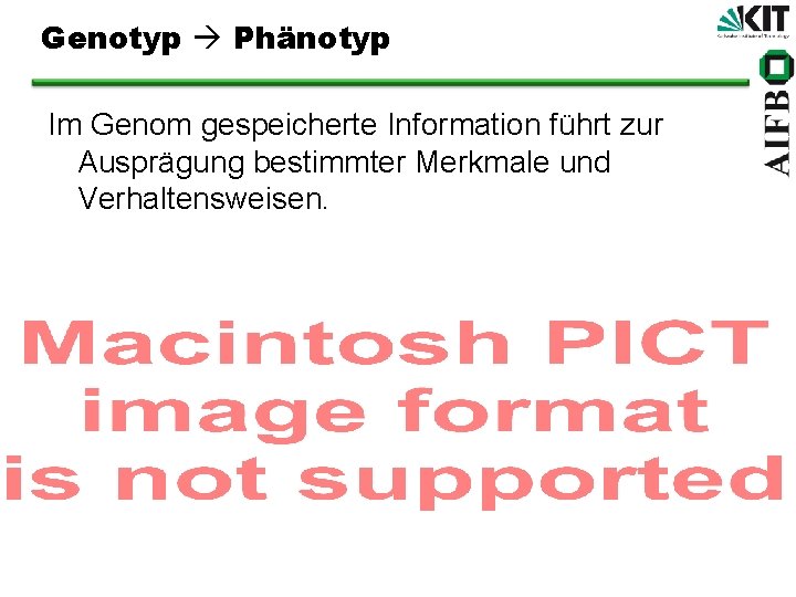 Genotyp Phänotyp Im Genom gespeicherte Information führt zur Ausprägung bestimmter Merkmale und Verhaltensweisen. 