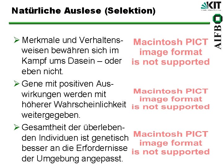 Natürliche Auslese (Selektion) Ø Merkmale und Verhaltensweisen bewähren sich im Kampf ums Dasein –