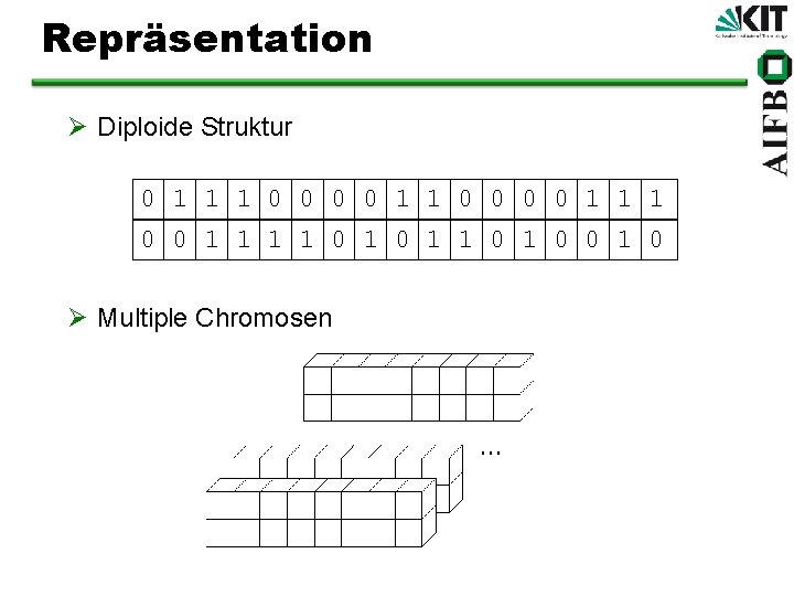 Repräsentation Ø Diploide Struktur 0 1 1 1 0 0 0 0 1 1
