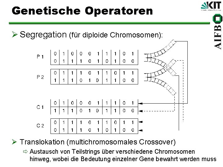 Genetische Operatoren Ø Segregation (für diploide Chromosomen): Ø Translokation (multichromosomales Crossover) ð Austausch von