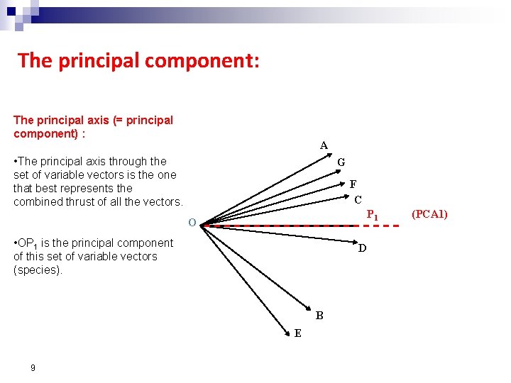 The principal component: The principal axis (= principal component) : A • The principal