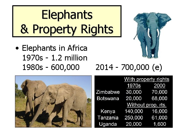 Elephants & Property Rights • Elephants in Africa 1970 s - 1. 2 million