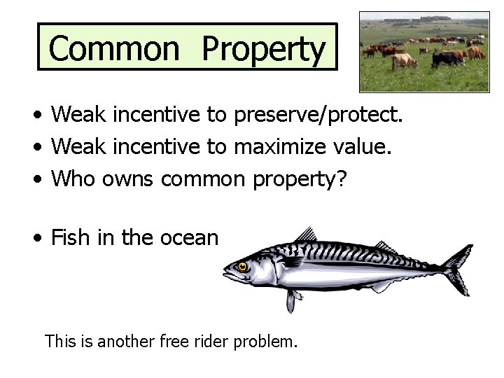 Common Property • Weak incentive to preserve/protect. • Weak incentive to maximize value. •