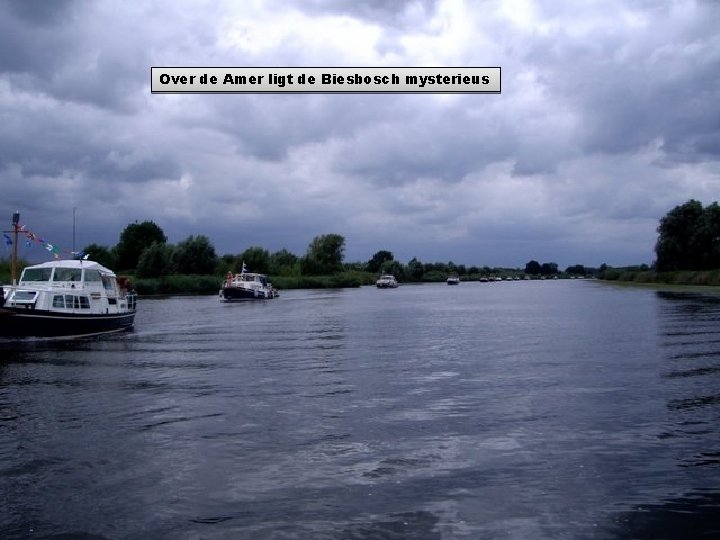 Over de Amer ligt de Biesbosch mysterieus 