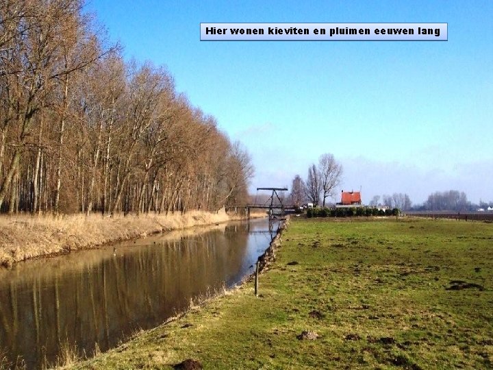 Hier wonen kieviten en pluimen eeuwen lang 