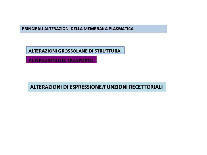 PRINCIPALI ALTERAZIONI DELLA MEMBRANA PLASMATICA ALTERAZIONI GROSSOLANE DI STRUTTURA ALTERAZIONI DEL TRASPORTO ALTERAZIONI DI