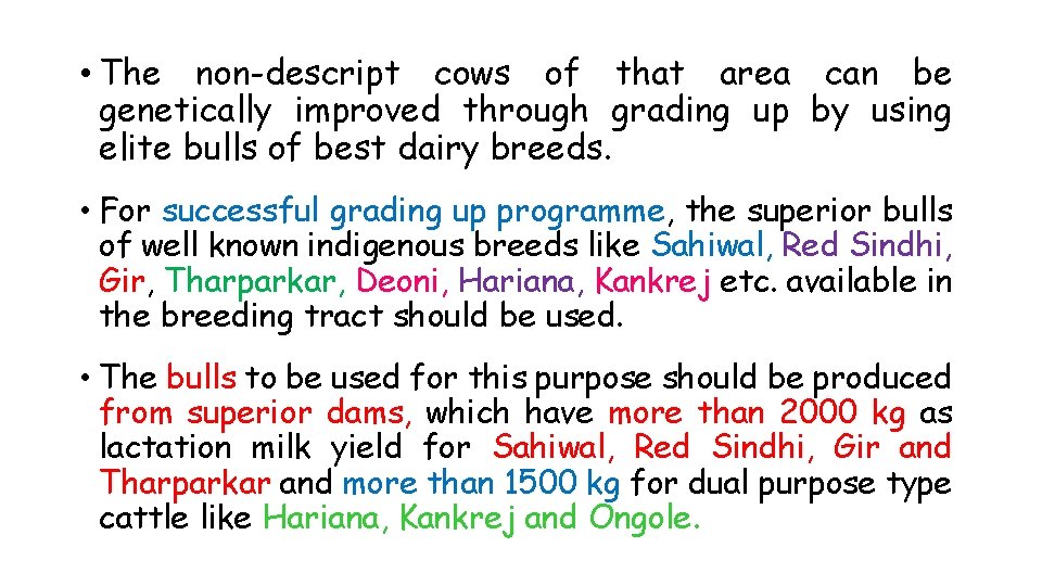  • The non-descript cows of that area can be genetically improved through grading