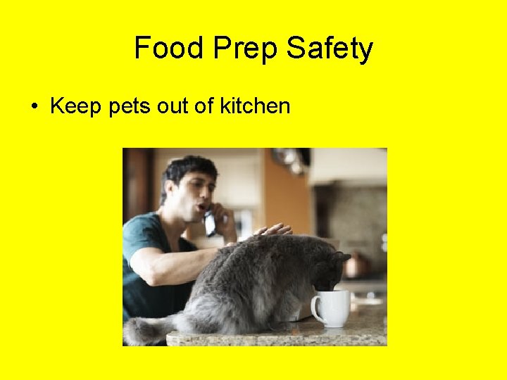 Food Prep Safety • Keep pets out of kitchen 