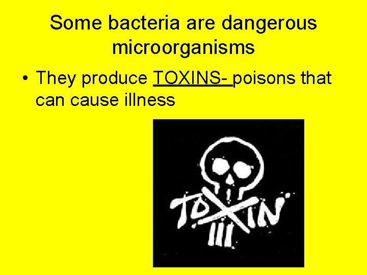 Some bacteria are dangerous microorganisms • They produce TOXINS- poisons that can cause illness