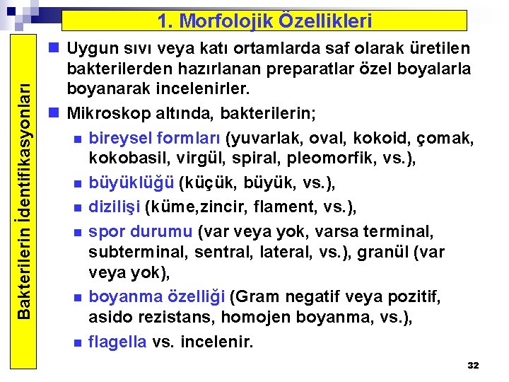 Bakterilerin İdentifikasyonları 1. Morfolojik Özellikleri n Uygun sıvı veya katı ortamlarda saf olarak üretilen