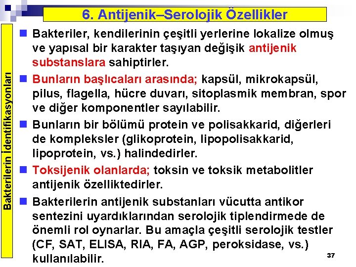 Bakterilerin İdentifikasyonları 6. Antijenik–Serolojik Özellikler n Bakteriler, kendilerinin çeşitli yerlerine lokalize olmuş ve yapısal