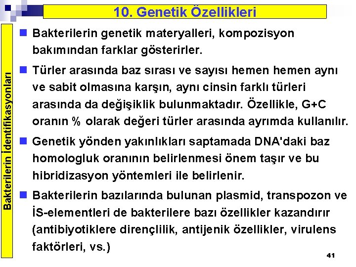 10. Genetik Özellikleri Bakterilerin İdentifikasyonları n Bakterilerin genetik materyalleri, kompozisyon bakımından farklar gösterirler. n