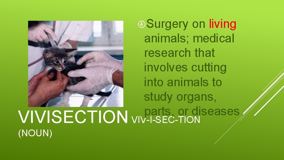  Surgery on living animals; medical research that involves cutting into animals to study