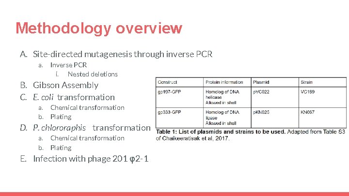 Methodology overview A. Site-directed mutagenesis through inverse PCR a. Inverse PCR i. Nested deletions