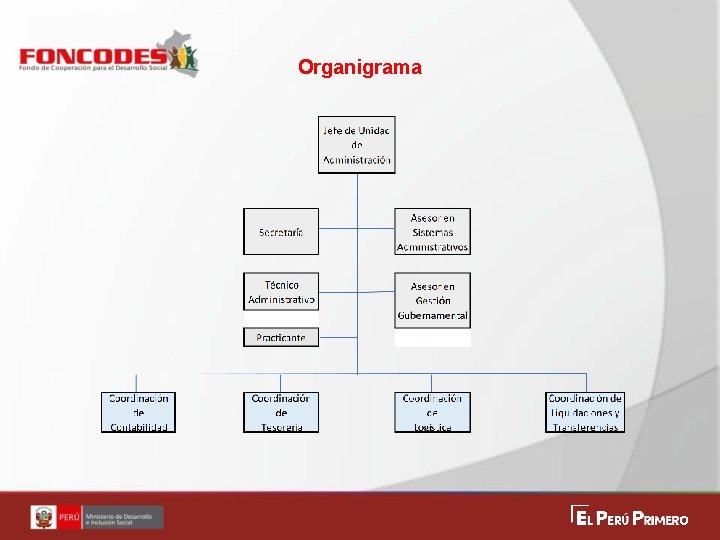 Organigrama 